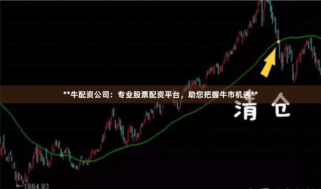 **牛配资公司：专业股票配资平台，助您把握牛市机遇**